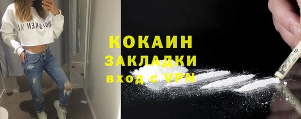 сатива Михайлов