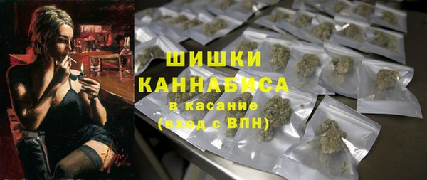 сатива Михайлов