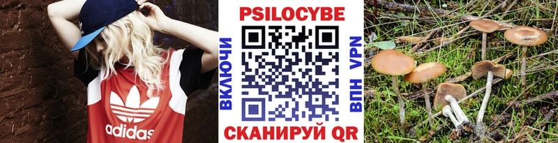 Псилоцибиновые грибы Psilocybine cubensis Отрадное