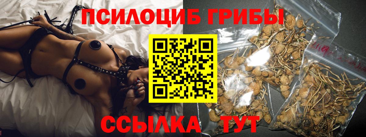Галлюциногенные грибы GOLDEN TEACHER  Отрадное 