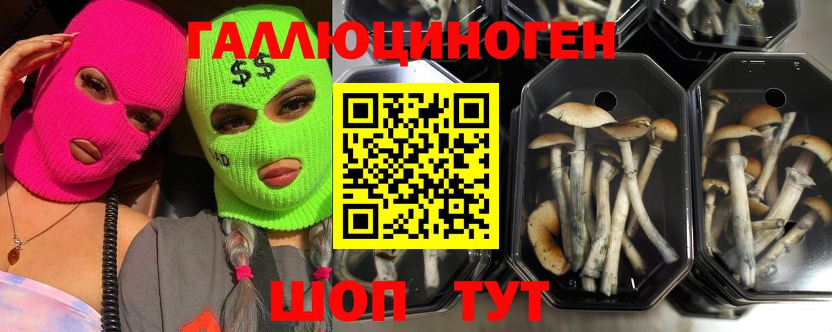 A PVP СК кристаллы  Кетамин  COCAIN  МЕФ кристаллы  Отрадное  Конопля  ГАШИШ  Вход с VPN 